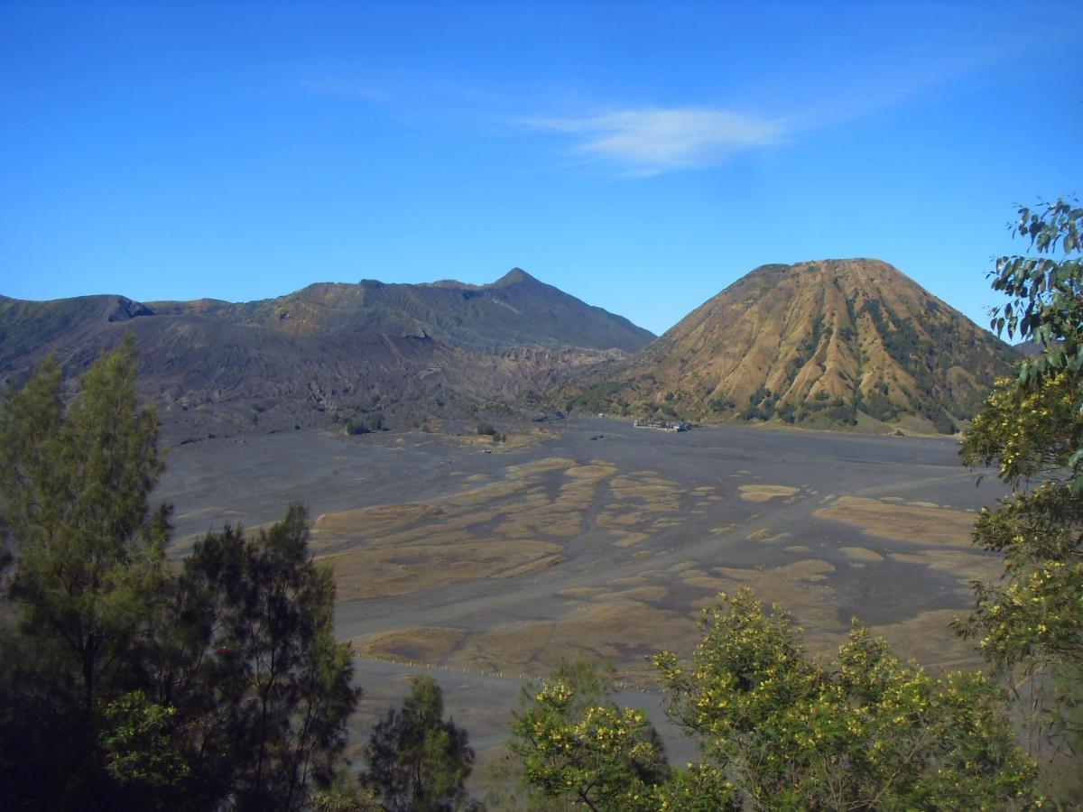 Cahyo Homestay Bromo Exterior foto